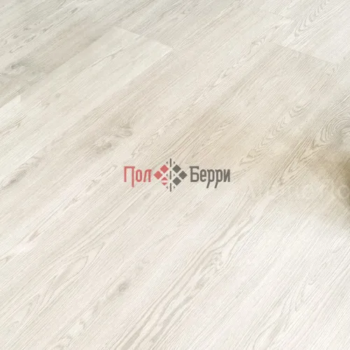 дуб светлый