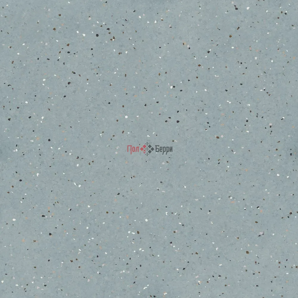 TH_iQ_Lyra_506