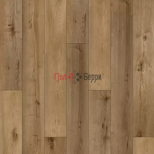 WOOD Vivaldi