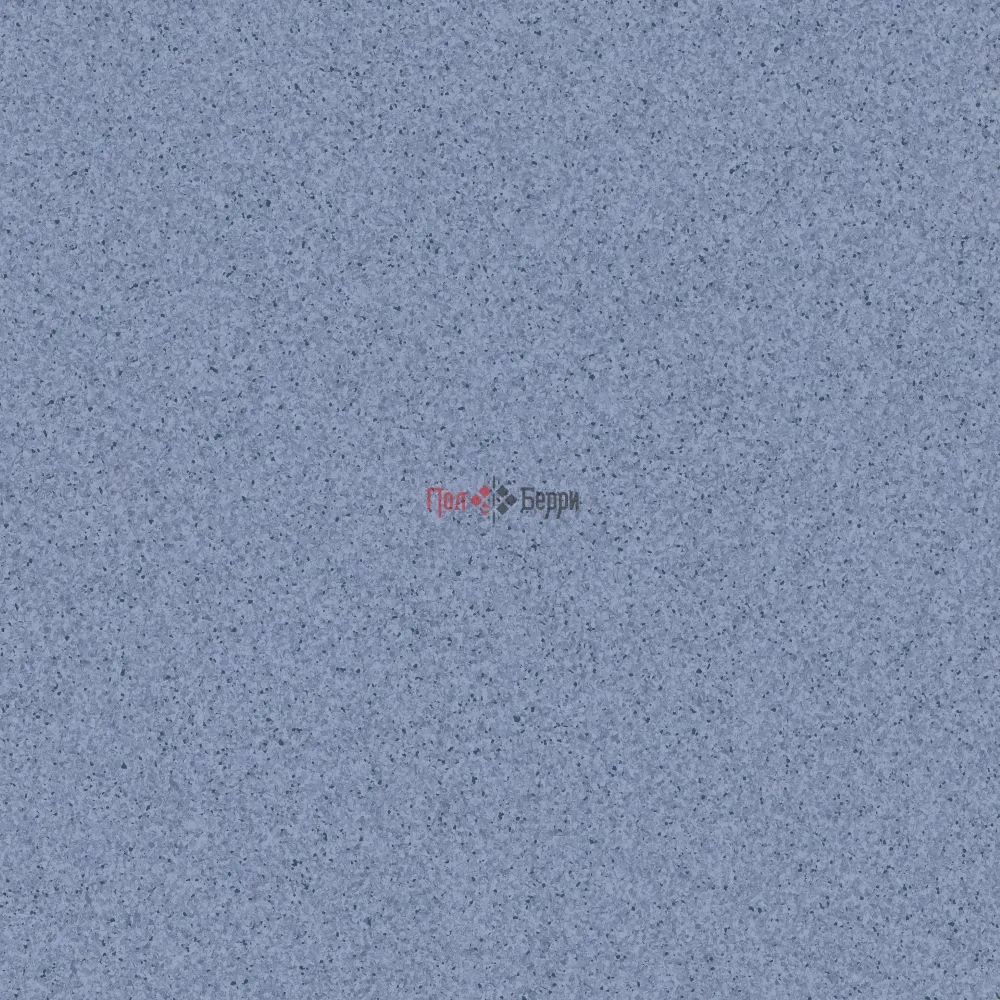 TH_Primo_Plus_309_01