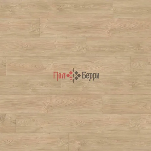 Клен Серебрянный Варио