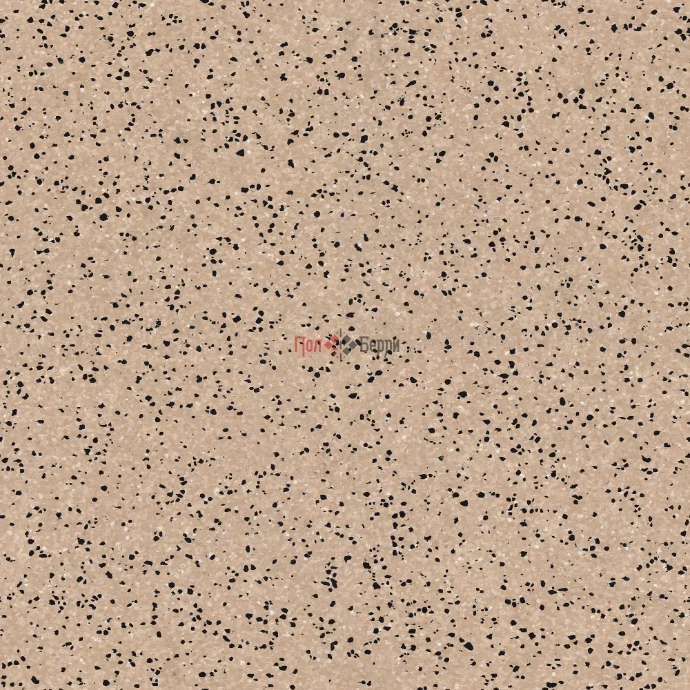 TH_IQ_ERA_SC_802