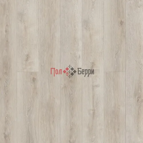 Дуб лауфен