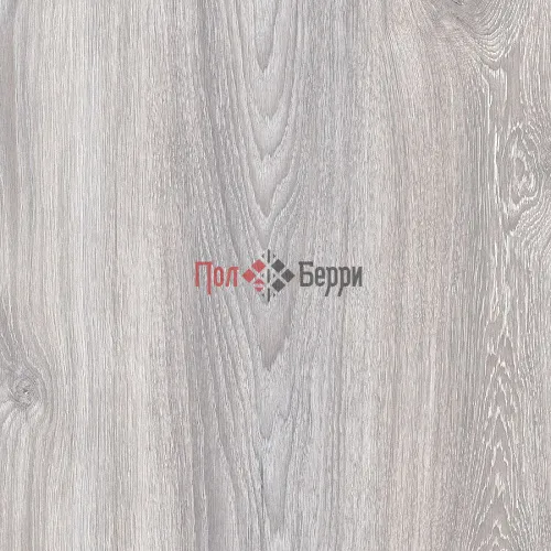 дуб гвинея