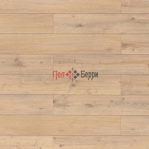 egger-laminate-classic-russia-33-11-EPL223-dub-plejgrin-naturalnyj
