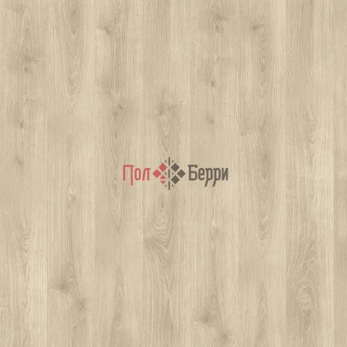 Дуб сиенна