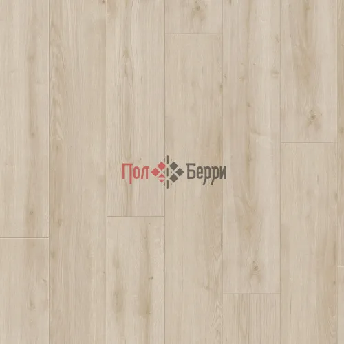 Дуб Эбро