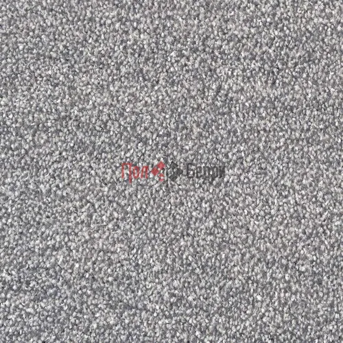 Dragon 33631