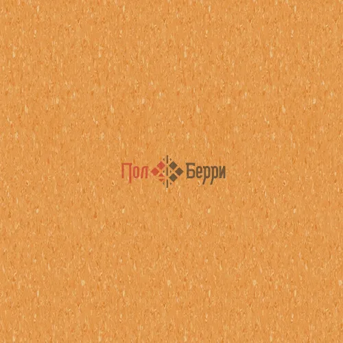 THH_TempoPlus_1011