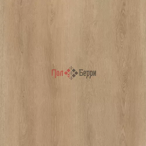WOOD Drum