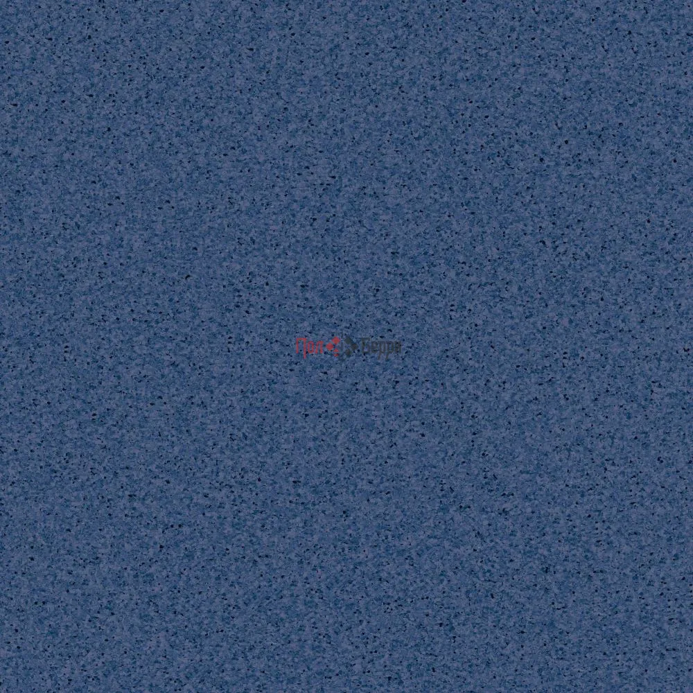 TH_Primo_Plus_310_01