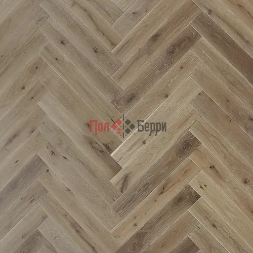Oak-Caspian_prev