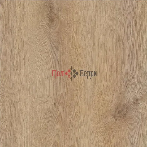 Тренд