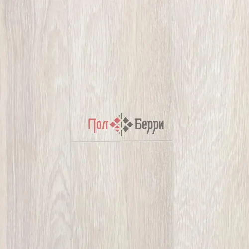 дуб вис