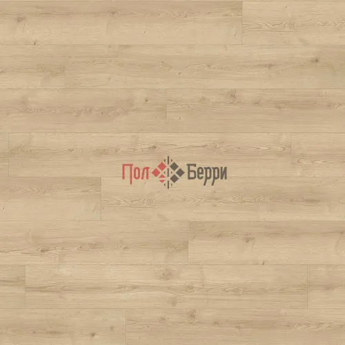 бари пуро