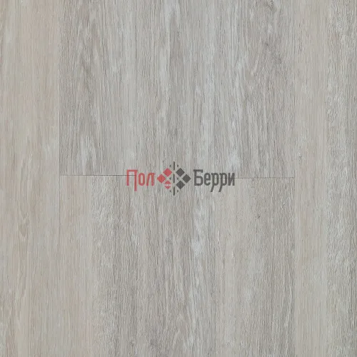 ATF 253 Дуб Бесса 5