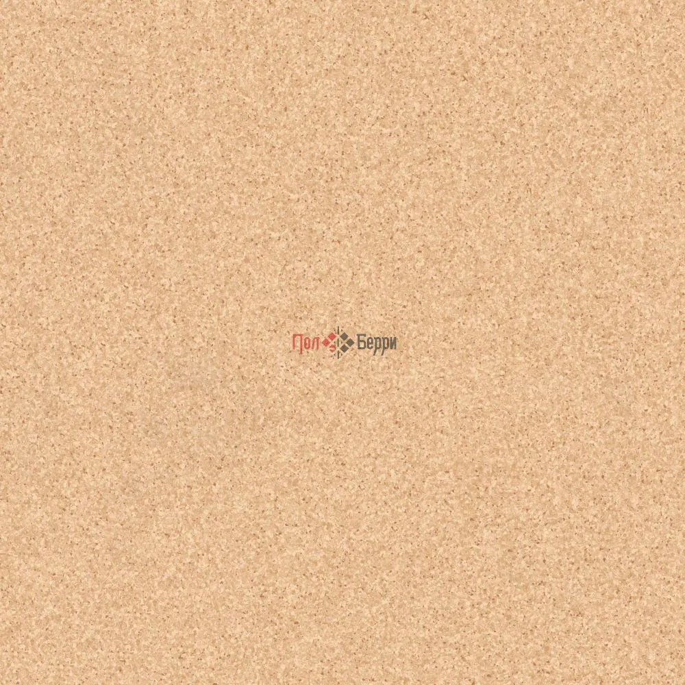 TH_Primo_Plus_304_01