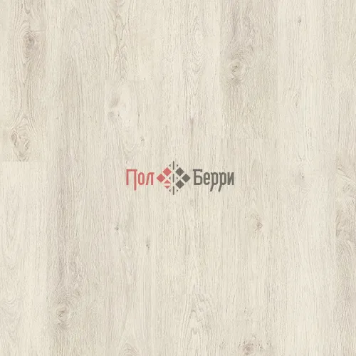 Дуб кортина белый