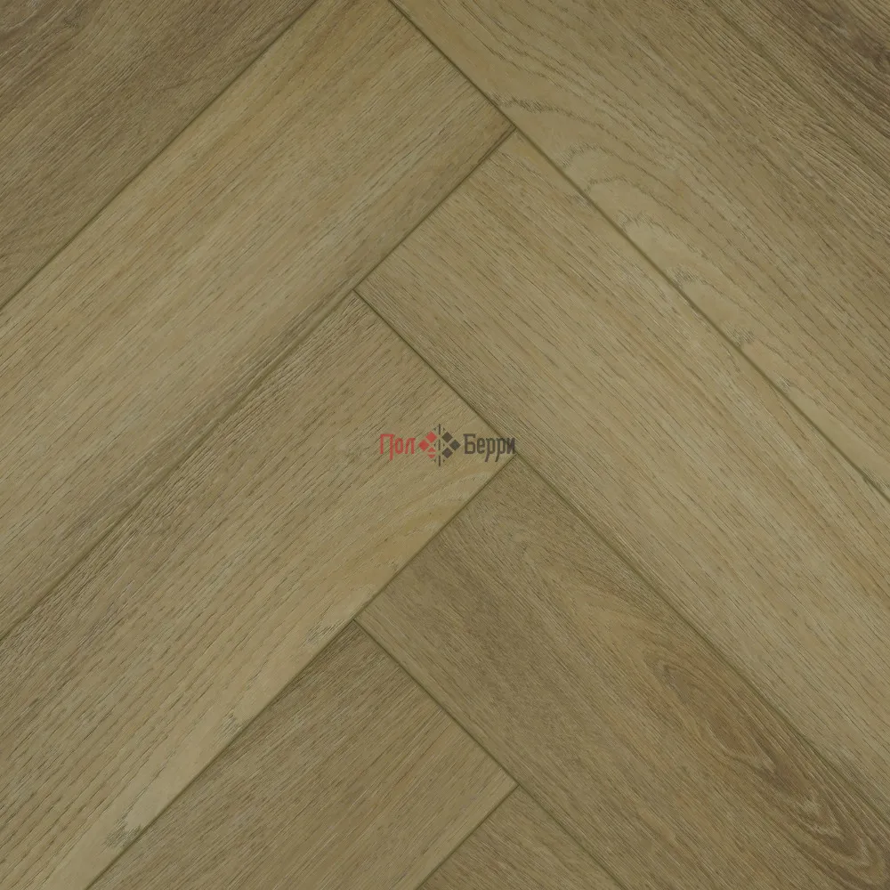 H1841 Foresta