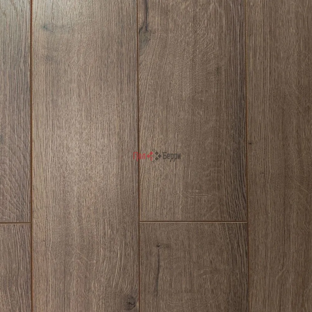 Lumber Штормовой