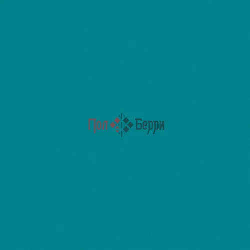 THH_Omnisports_action_65_teal