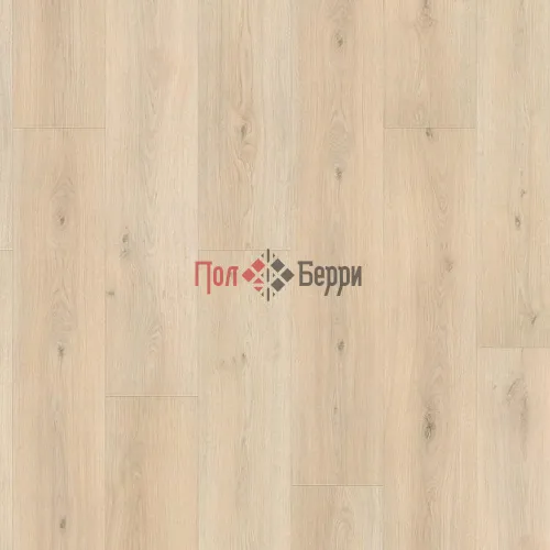 эмилия вельвет белый