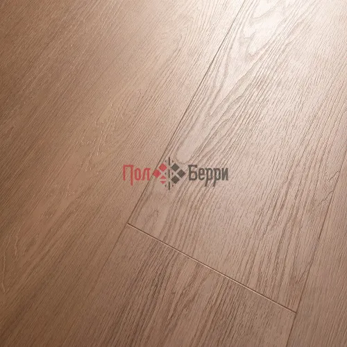 8866 -EIR Дуб Шера (2,503)-10