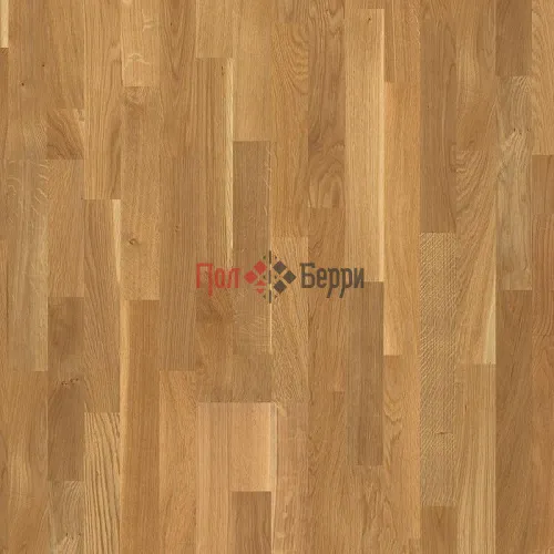 dub-natur-3s-matt10-800x800