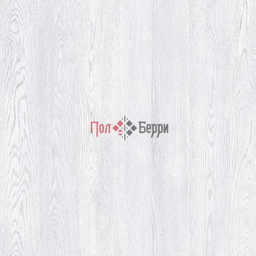 Сосна дакота