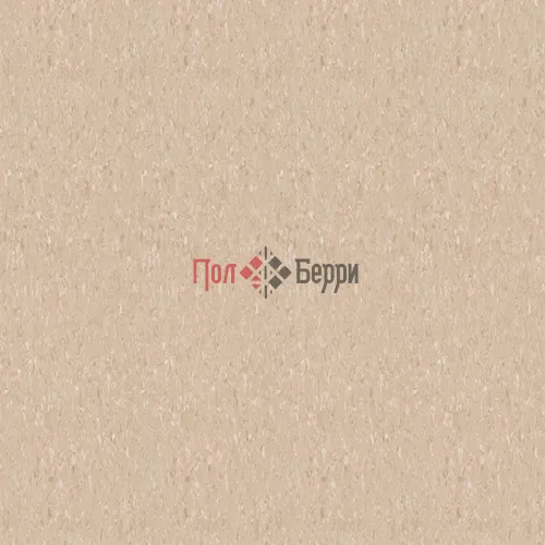 THH_TempoPlus_1007