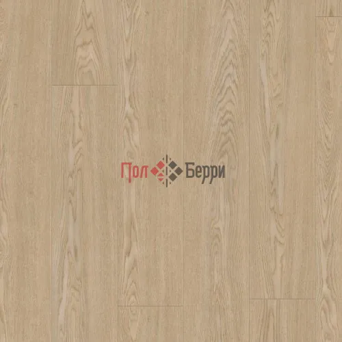 Дуб Турин