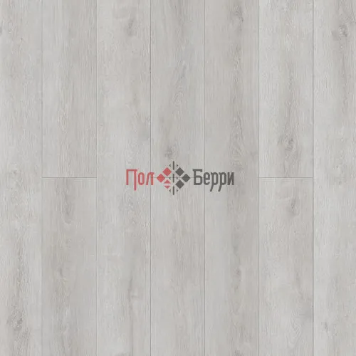 Дуб стен