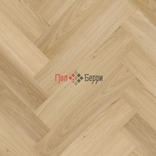 дуб вяз оксфорт