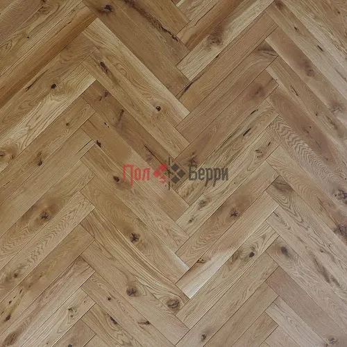 Oak-Latin_text