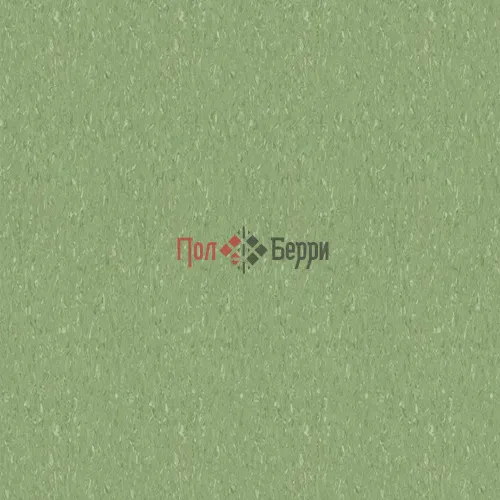 THH_TempoPlus_1009