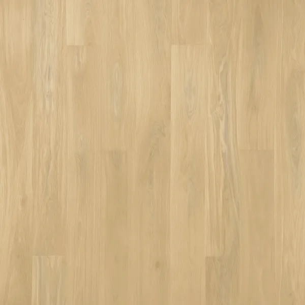 OAK STORY DAISY DEEP MATT_1