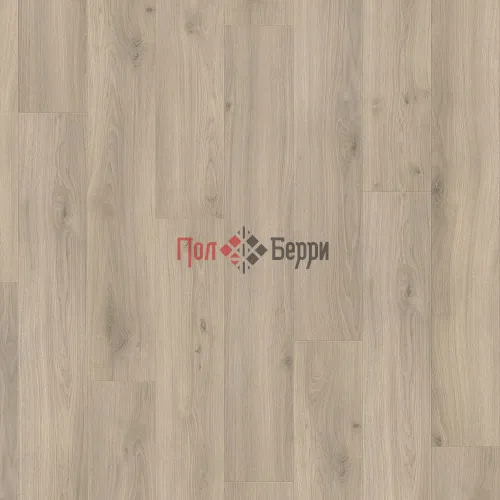 дуб эмилия вельвет