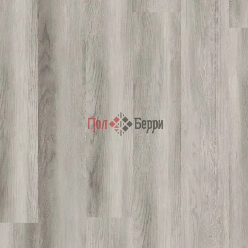 Дуб курганный