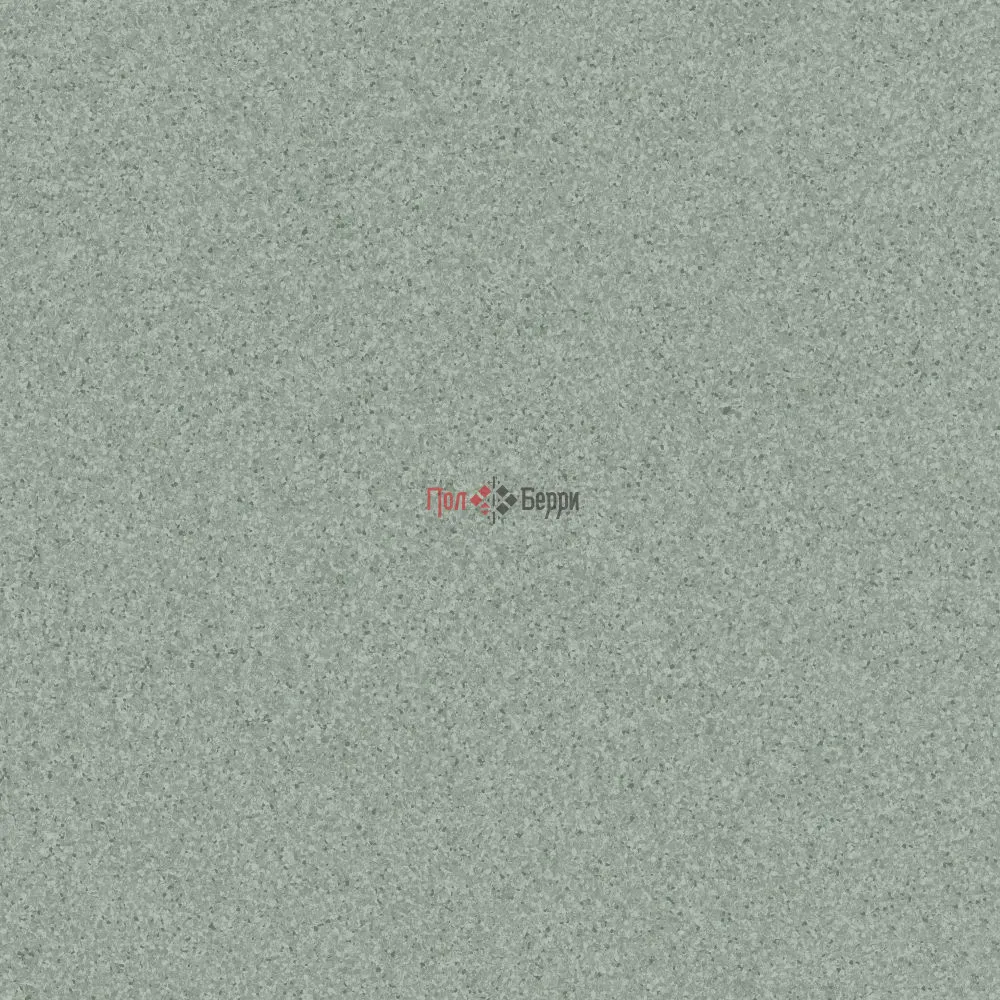 TH_Primo_Plus_311_01