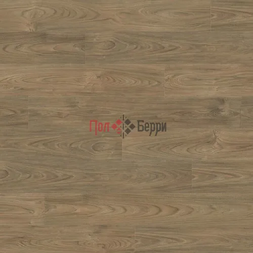 вяз варио