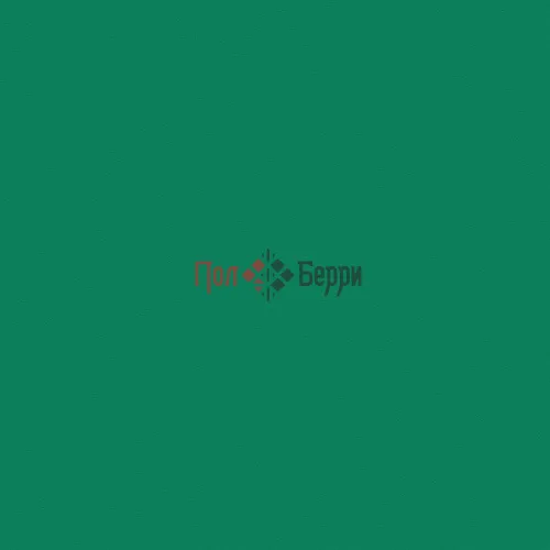 THH_Omnisport_Field_Green