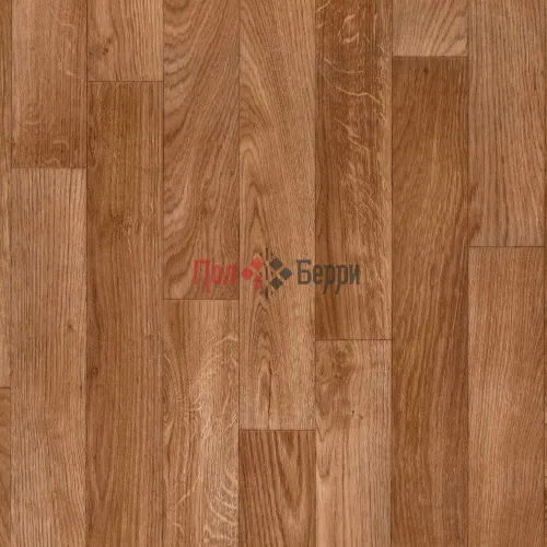 THH_Omnisport_Oak