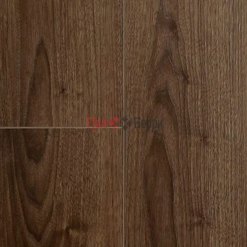 2761 (1)