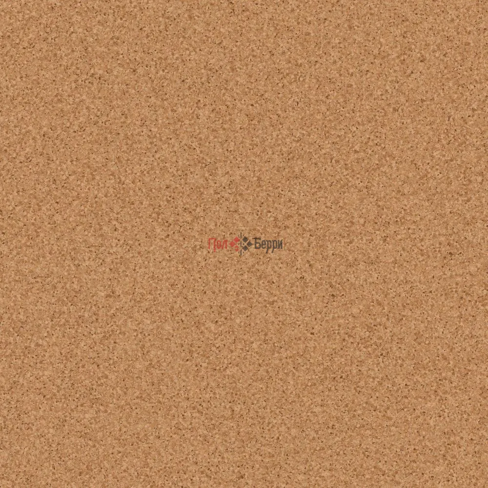 TH_Primo_Plus_303_01