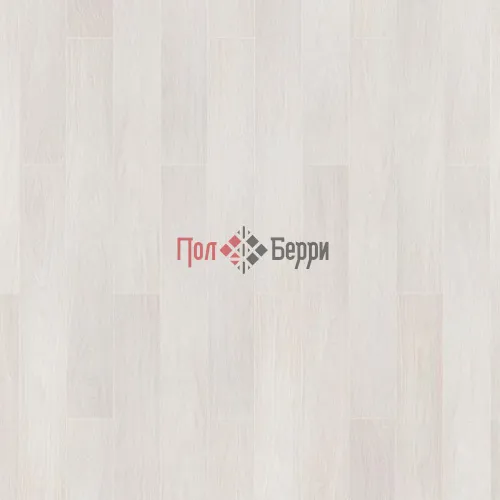 Дуб Крымский
