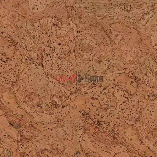 CM3-310v-NN -