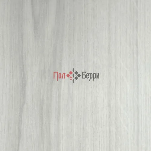 Дуб Серебряный