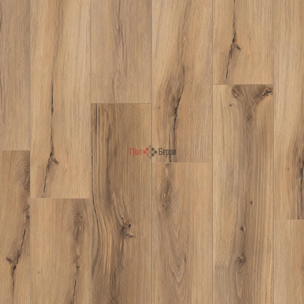TH_BLACKWOOD_ROALD