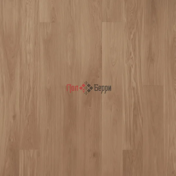OAK STORY ASTER DEEP MATT