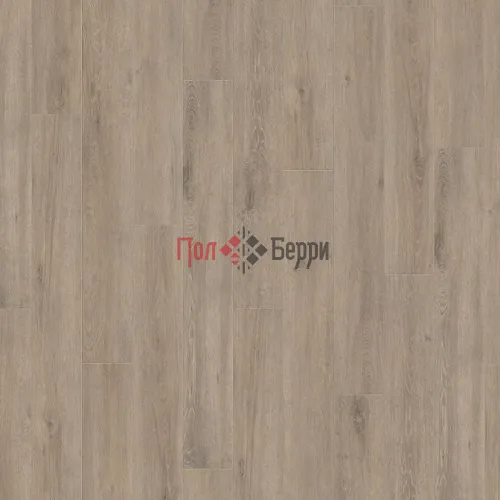 венето мокка
